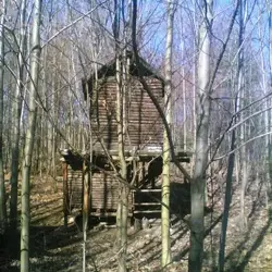 2008
